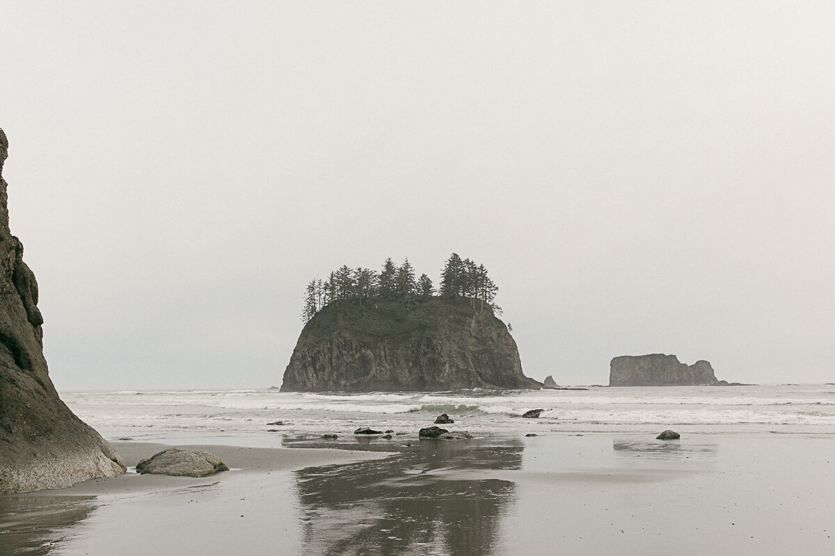 washingtonelopementphotographer-fernacreswedding-forkswashingtonwedding-pnwelopement-102