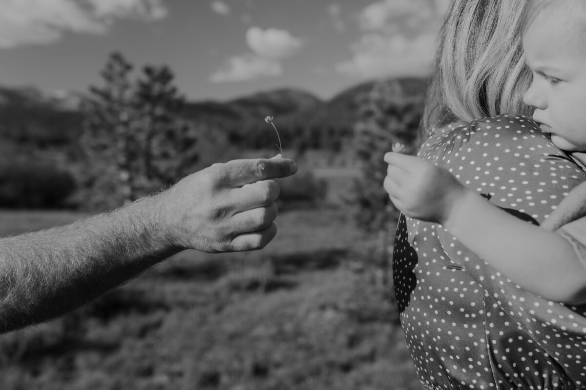 Dana + Derek Hope Valley California Engagement Session _ Katherine Krakowski Reno Lake Tahoe Photographer-270