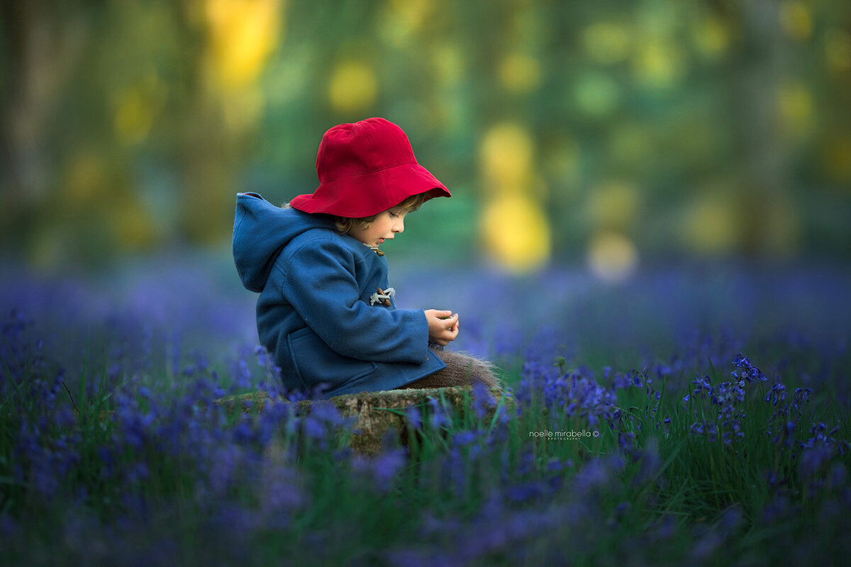 Child dressed as Paddington bear in bluebell forest.