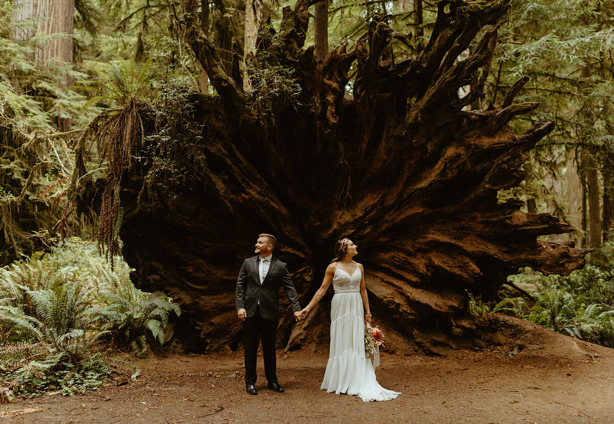 Emily-Noelle-Photography-Oregon-Elopement-Photographer-couple-standing-in-front-of-tree-roots