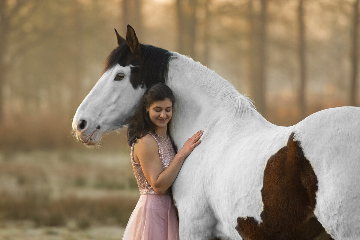 Paint knuffel foto paard