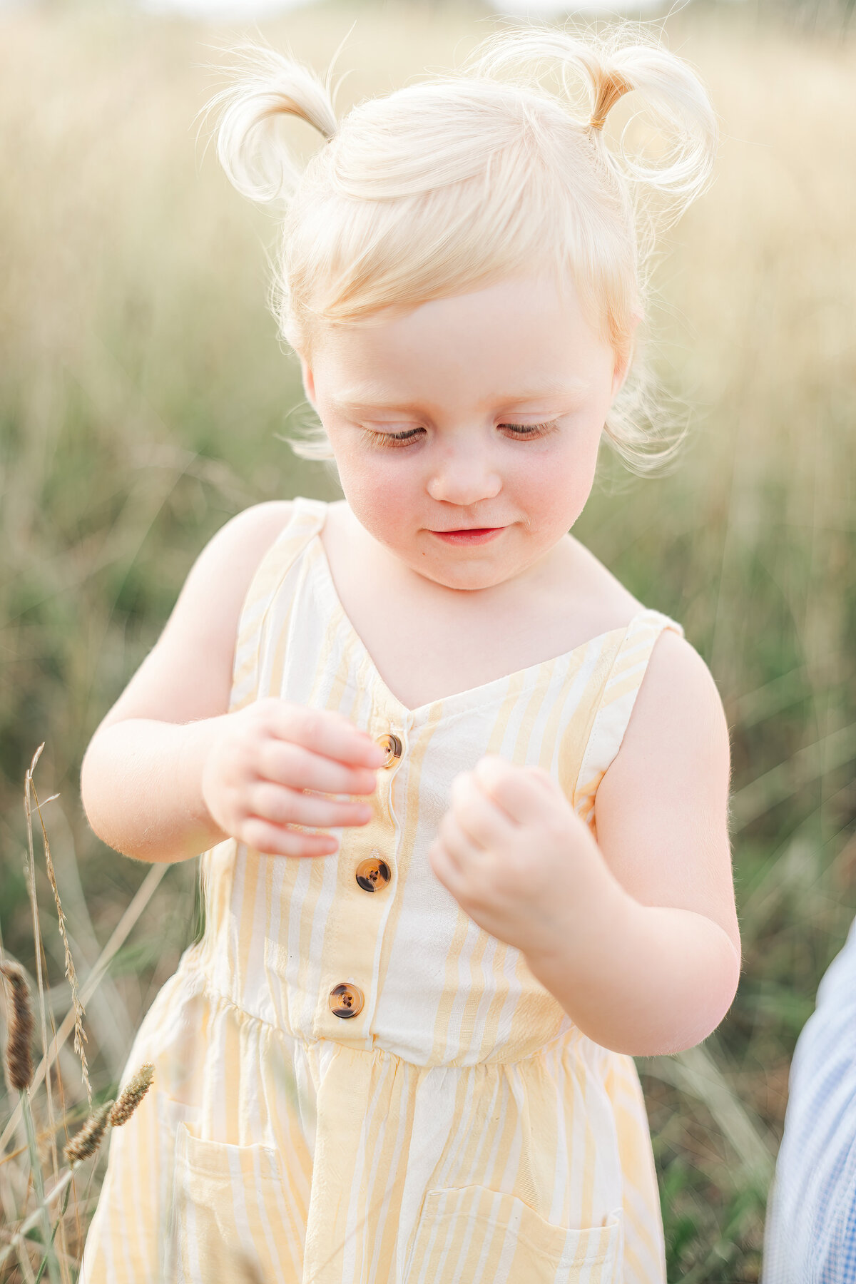 Greenville Family Photographer Ana -12