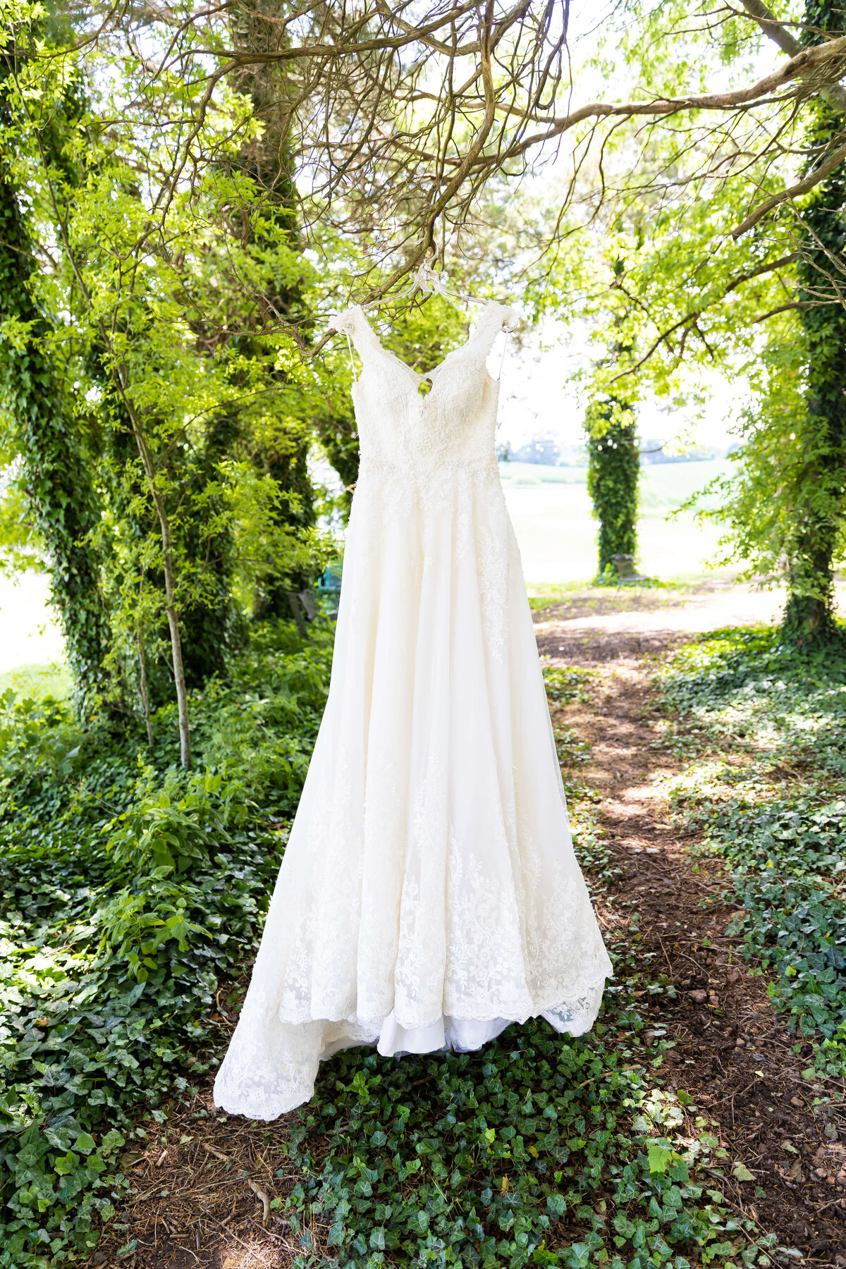 Wedding dress hanging up on a branch at  Ruby Cora wedding venue in Clarksville, TB