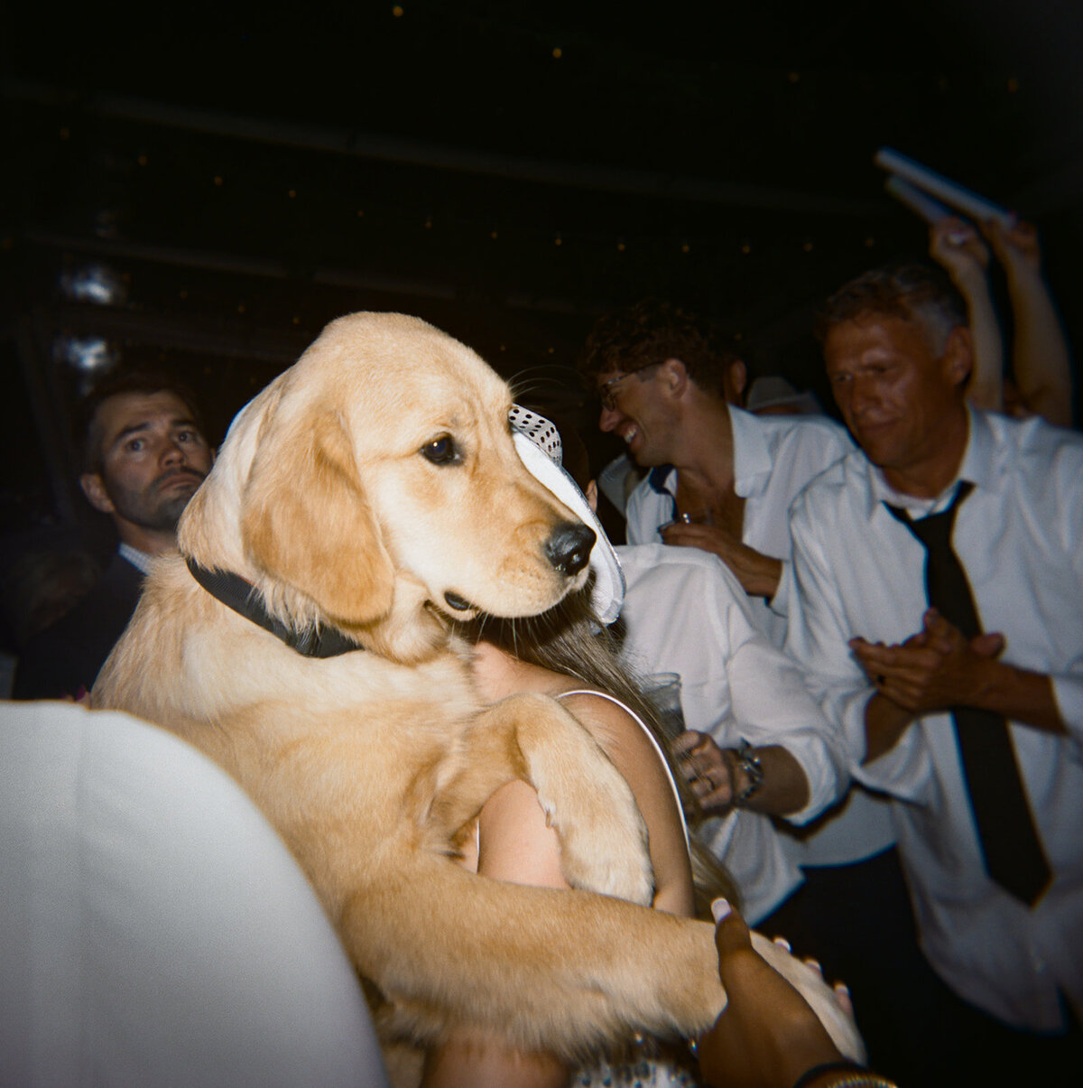 Lauren & Seth_Film Preview-4