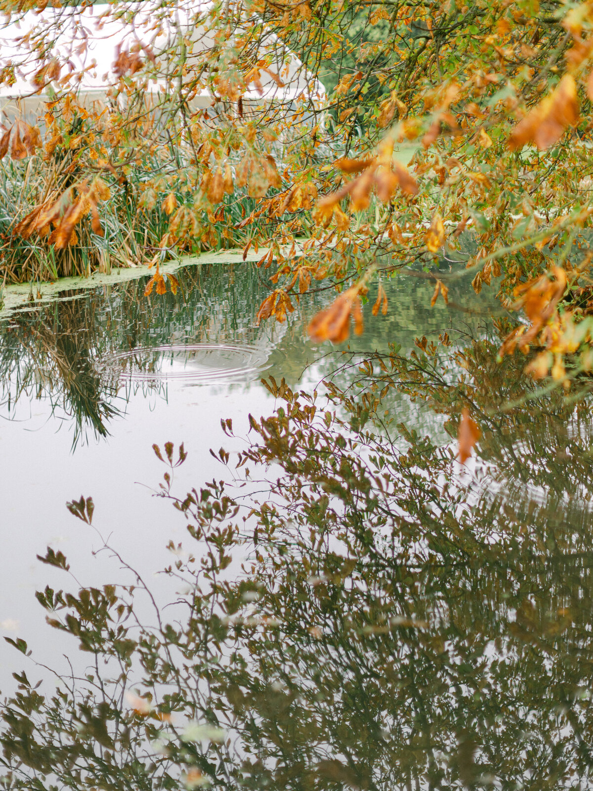 Kayla Stoate Photography Editorial Wedding Ardington House Oxford Bridal Grounds