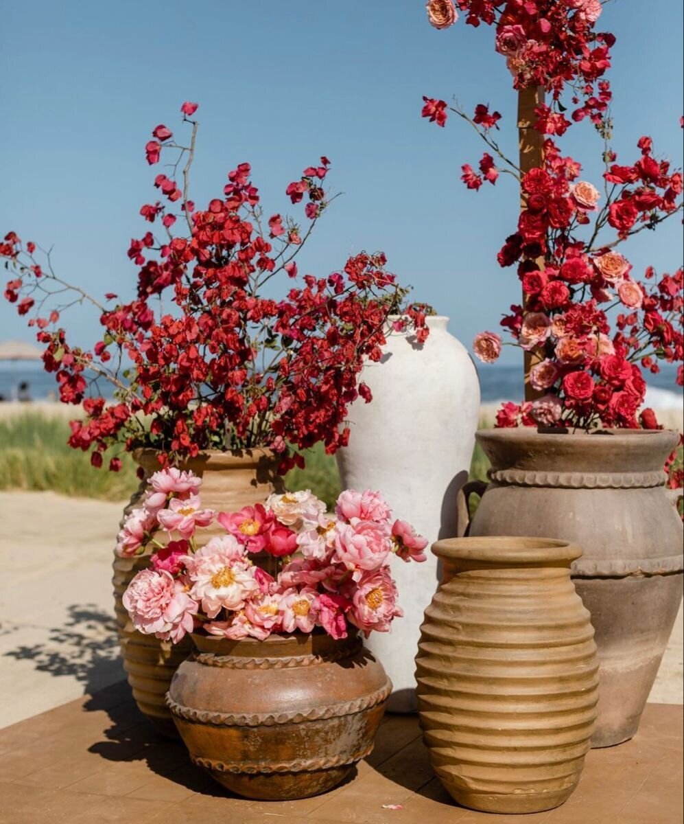 Terracotta pots with bold magenta blooms and sculptural greenery, floral design inspiration for Airlie Gardens