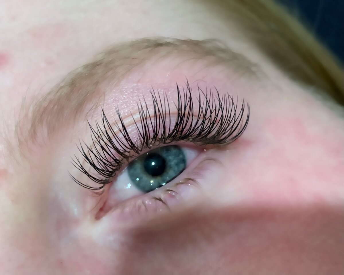 lash3