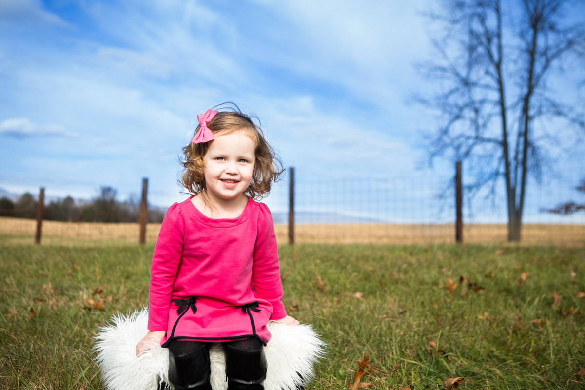 Harrisonburg Family Photographer 2015 0005