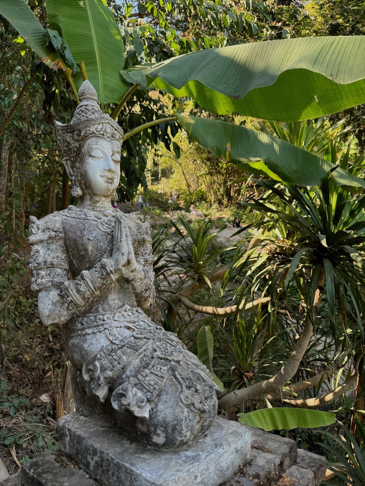 Forest buddha
