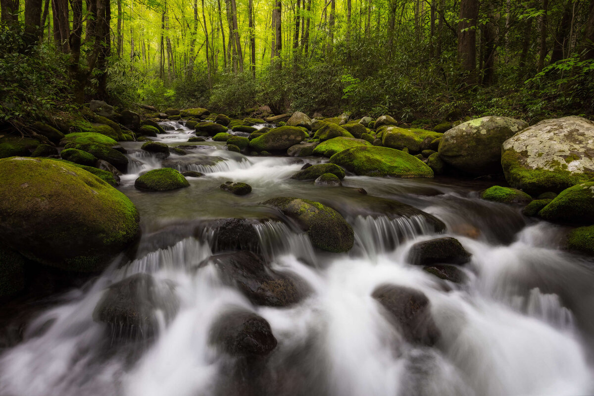2022.04-Nature-TN-Smoky-Mountains-NP-Chrissy-Donadi-Landscape-Photography-Clear-River-Roaring-Fork-Spring-Cascades