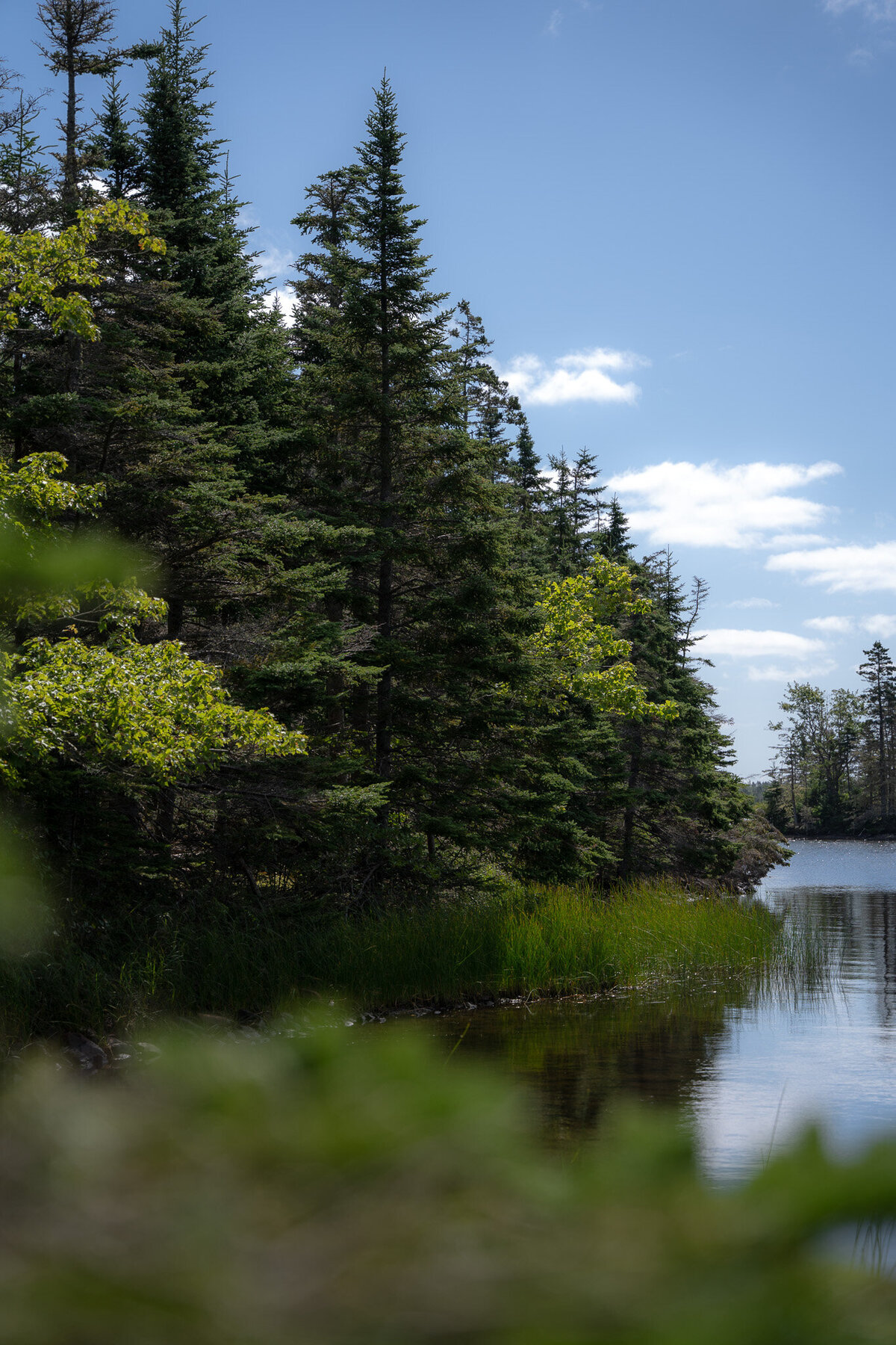 nova-scotia-canada-poters-lake-campground