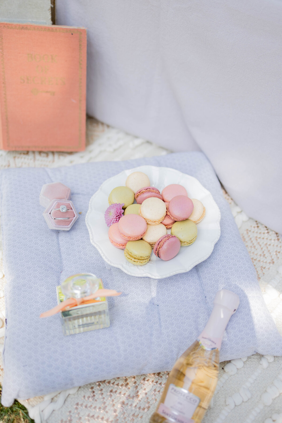 picnictsb-15