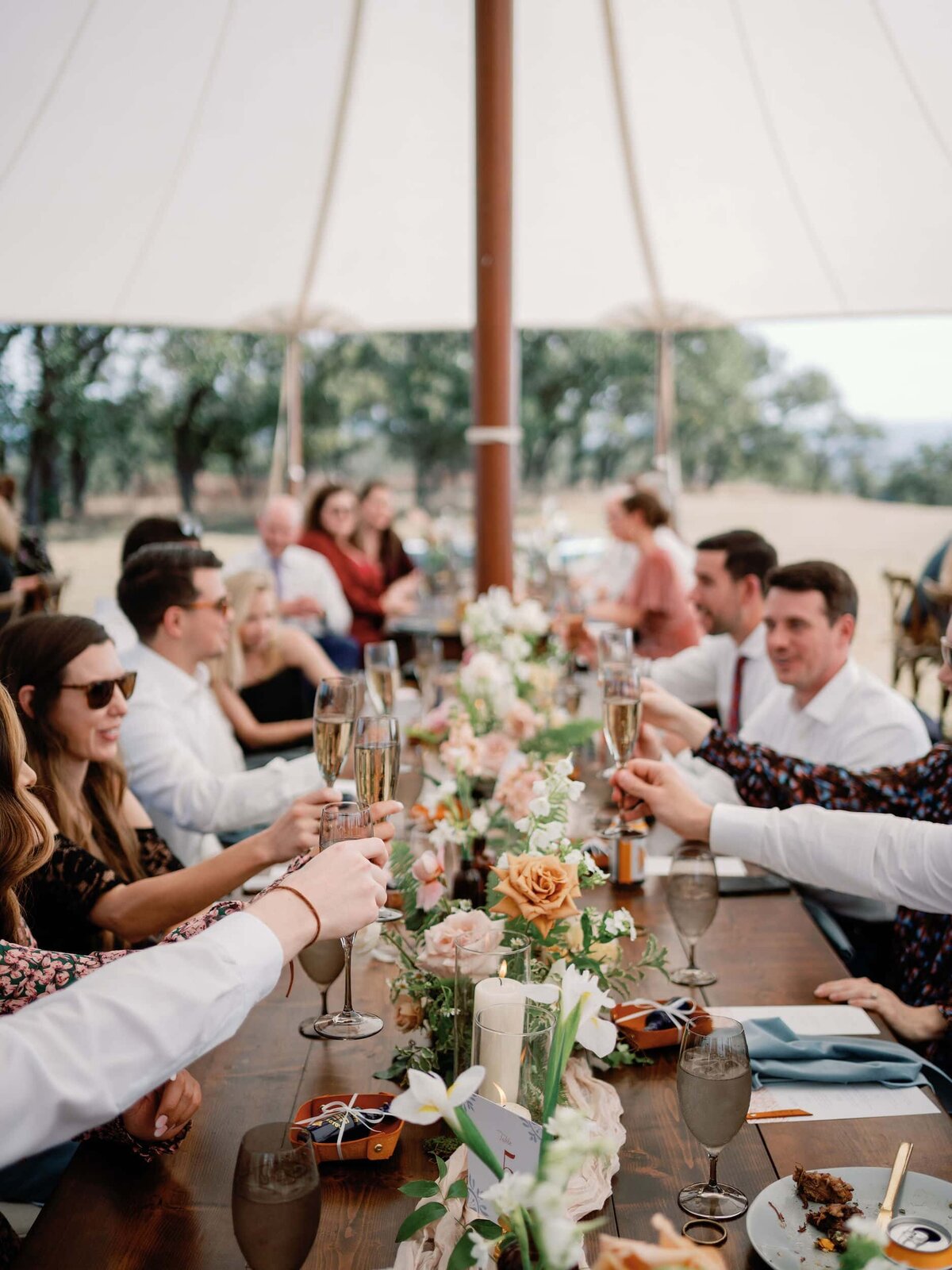 Group of guests toast at an elegant event