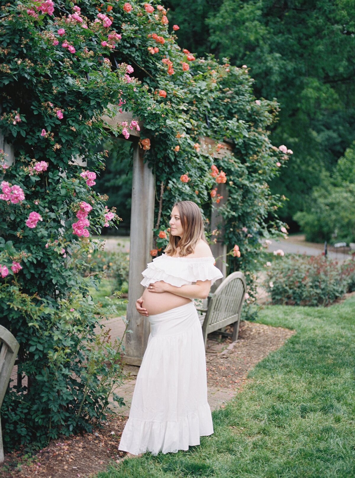 rose-garden-maternity-photos-northern-virginia-maternity-photographer4