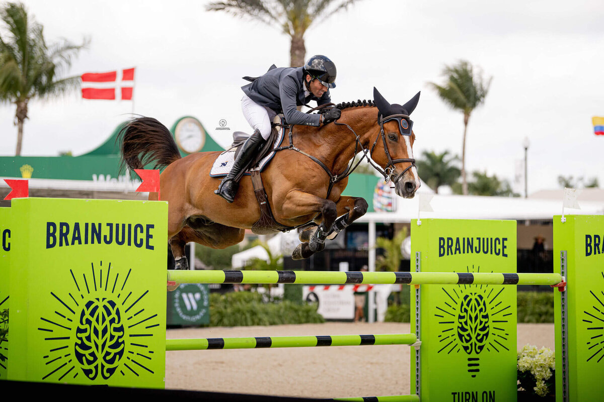 HATHERLY LLC TRAINING SHOWJUMPING TEAM WELLINGTON, FL_US EQUESTRIAN TEAM(6)