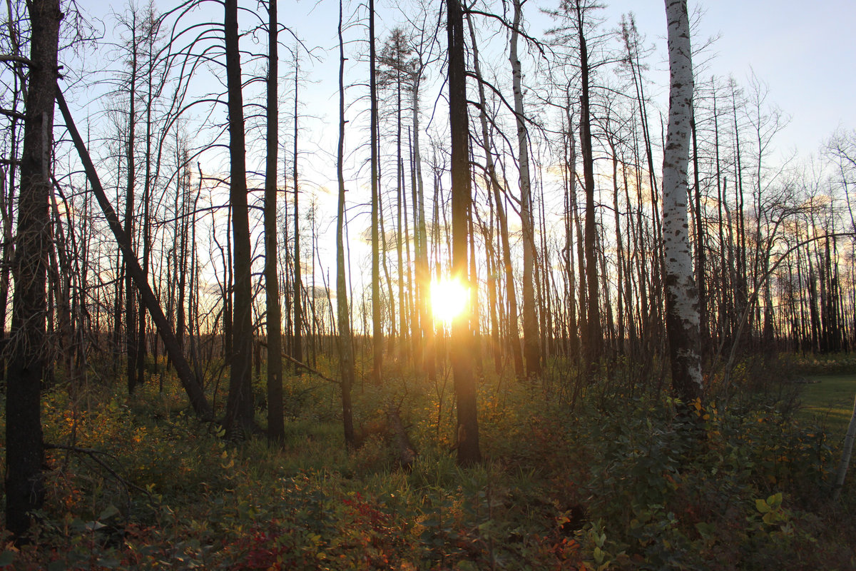 Wade_Muir_Photography_Places-24