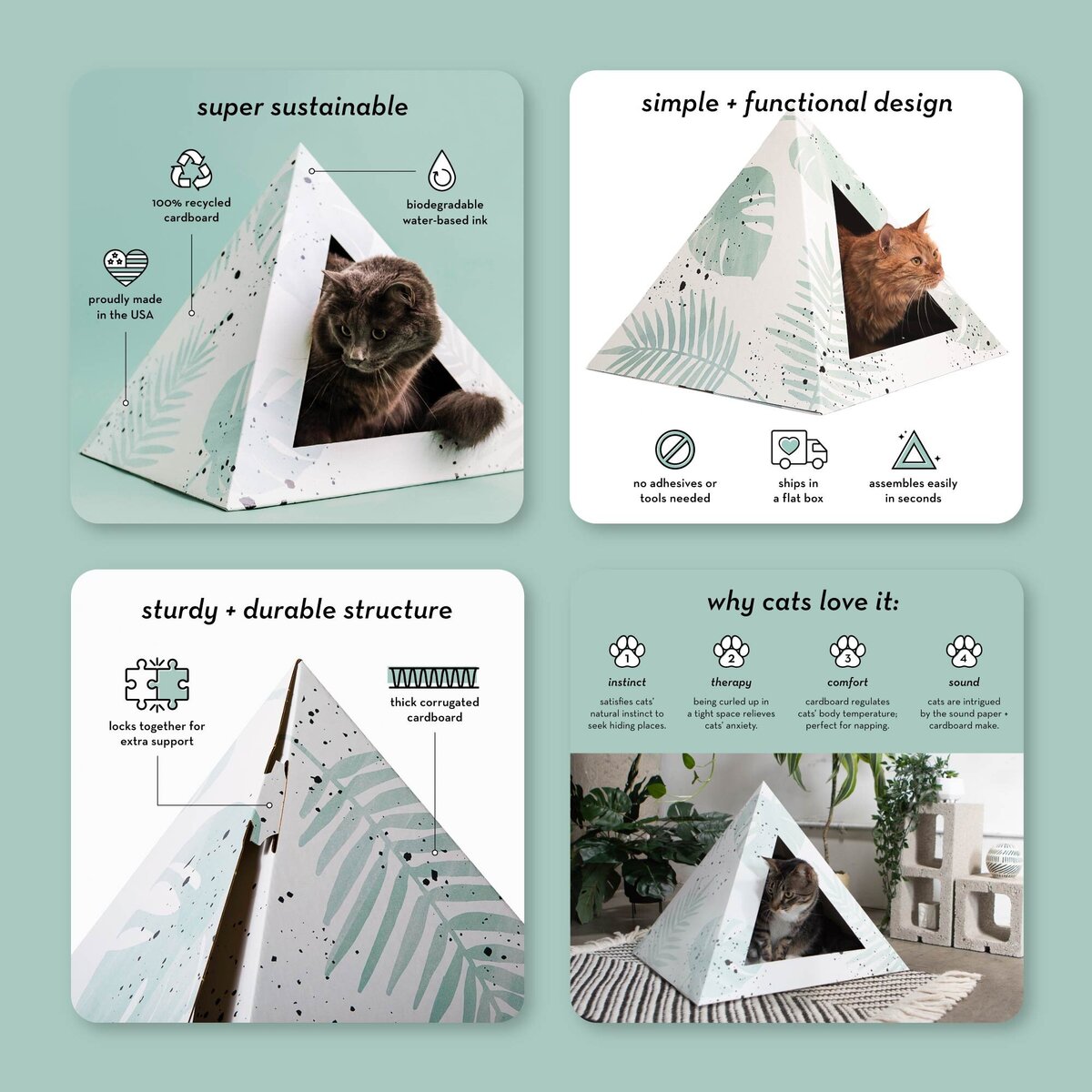 Rose-and-Palm-Studio_Portfolio_Kitty-Kardboard_Graphic-30