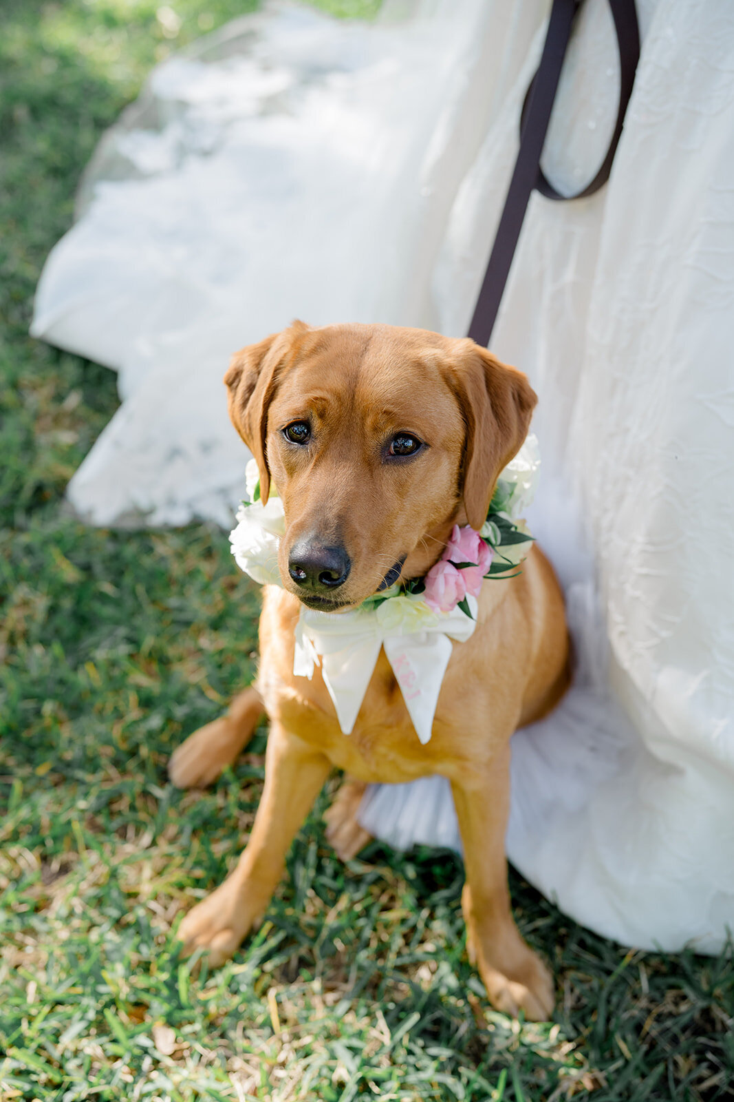 Lowndes_grove_destination_fall_wedding_kailee_dimeglio_photography-599