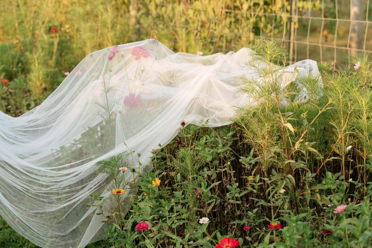 brides veil laying across the wildflowers during golden hour at long hollow gardens in tennessee