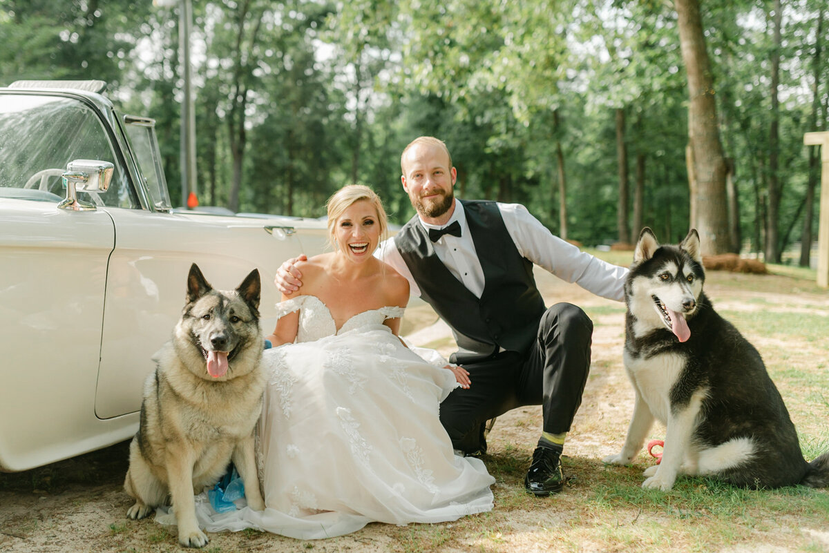 bride and groom posing with dogs