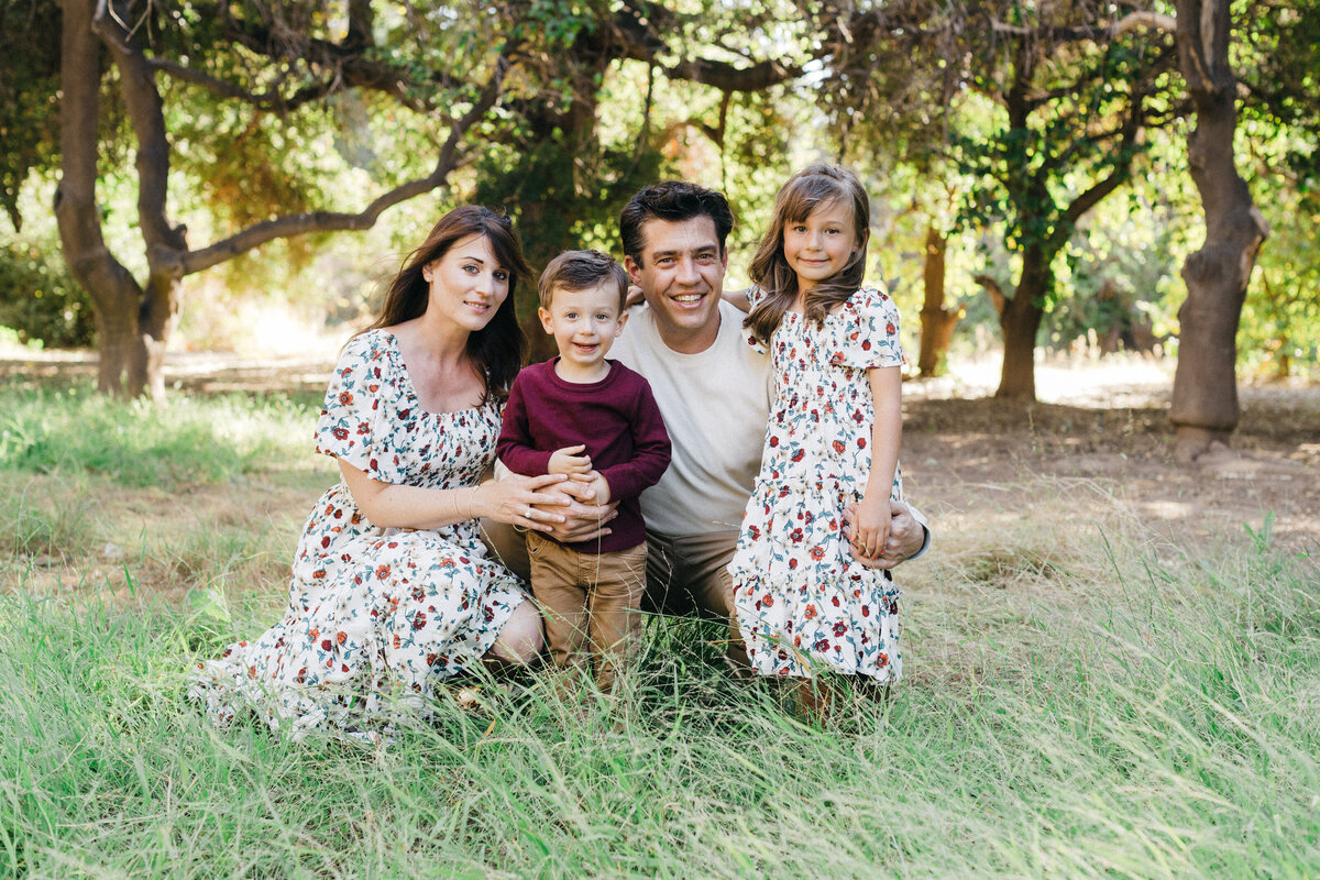 0021 POR Hansen 2019