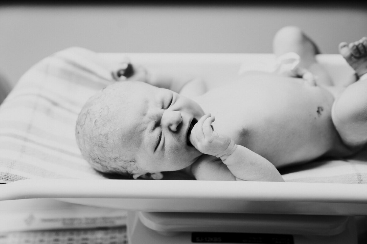baby fresh 48 moments | brisbane birth photography
