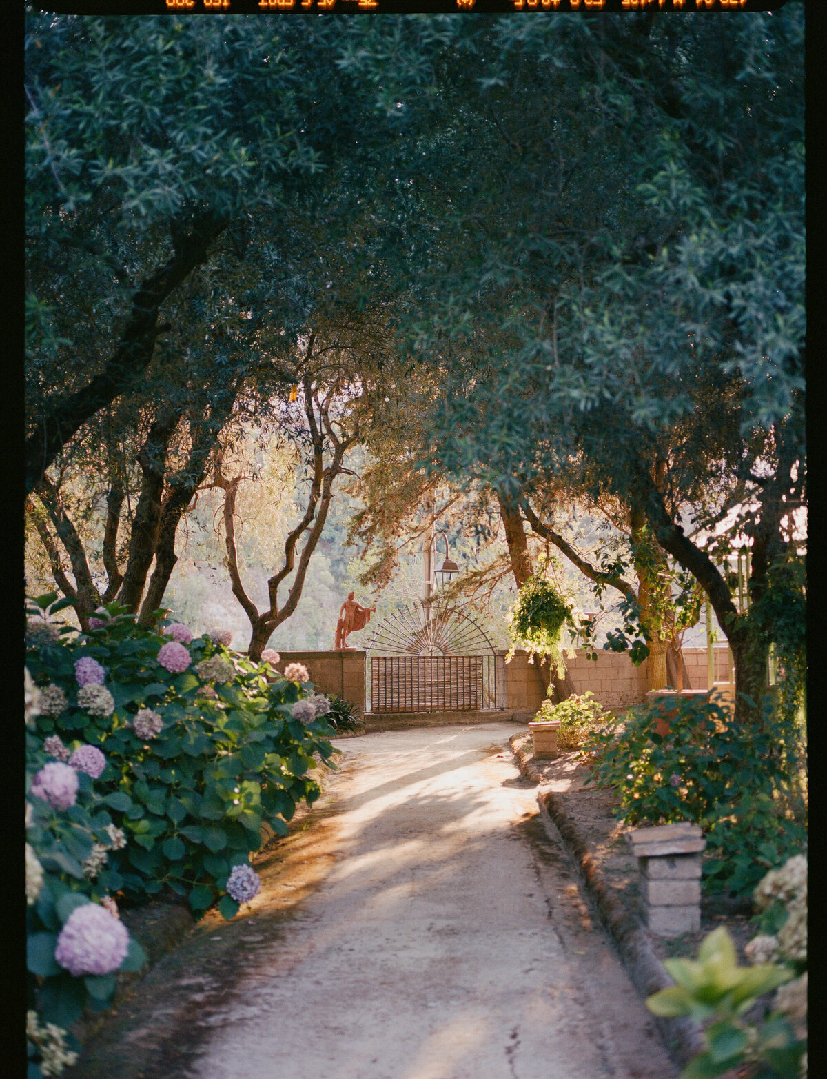 petal-glass-portfolio-184