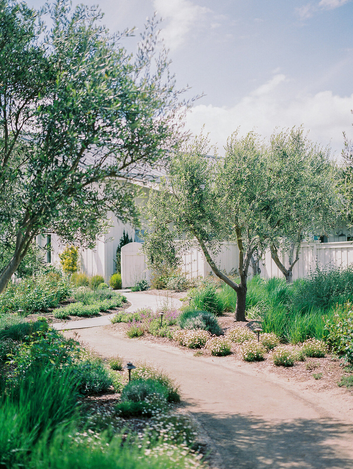Luxury-Wedding-The-Barn-at-Harrow-Cellars-Sonoma-CA1