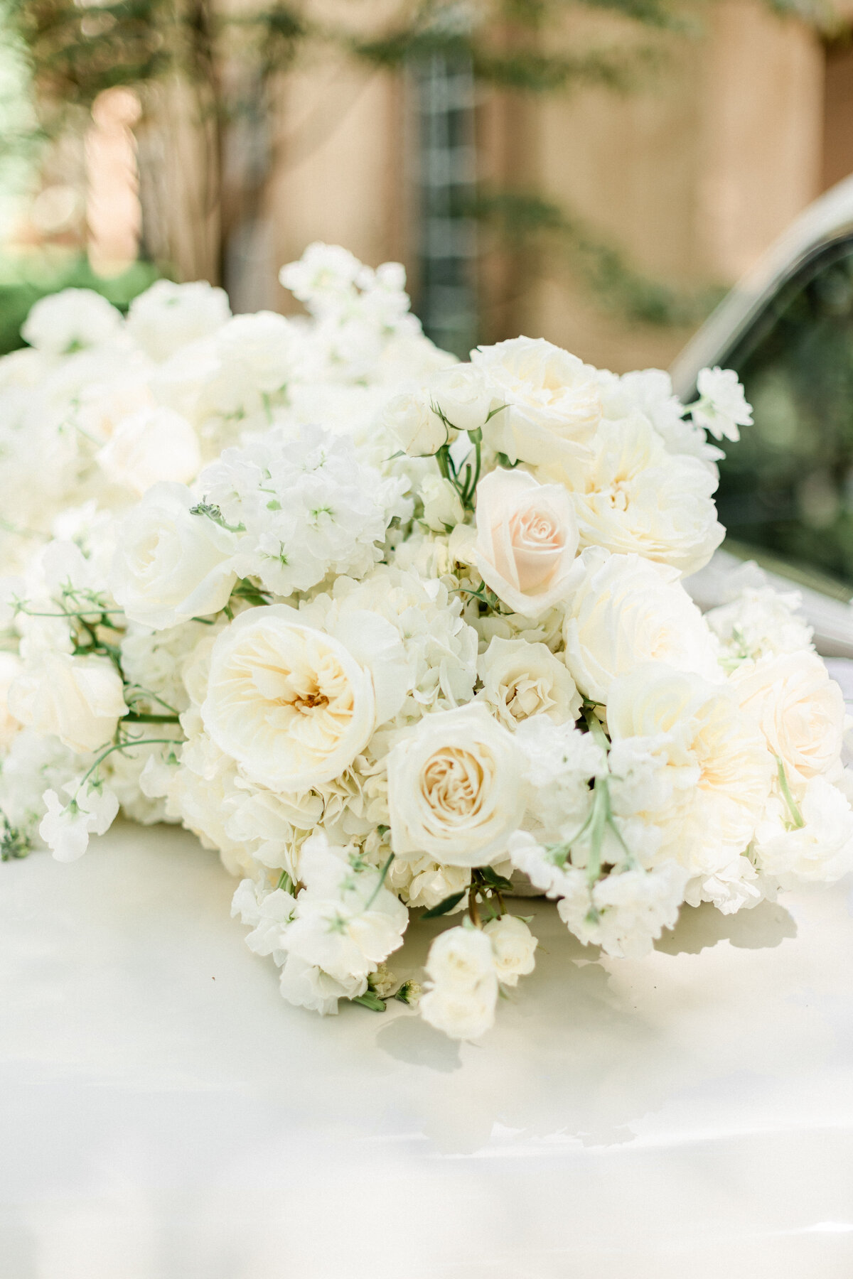 PATTERSON PREVIEW-211