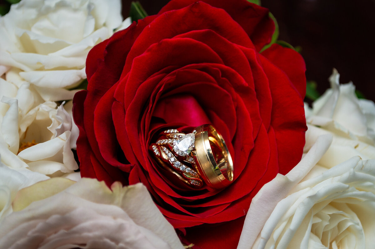 Chicago Wedding Planner-Belissima Events_Perez_Carter_SR_JM-0018--