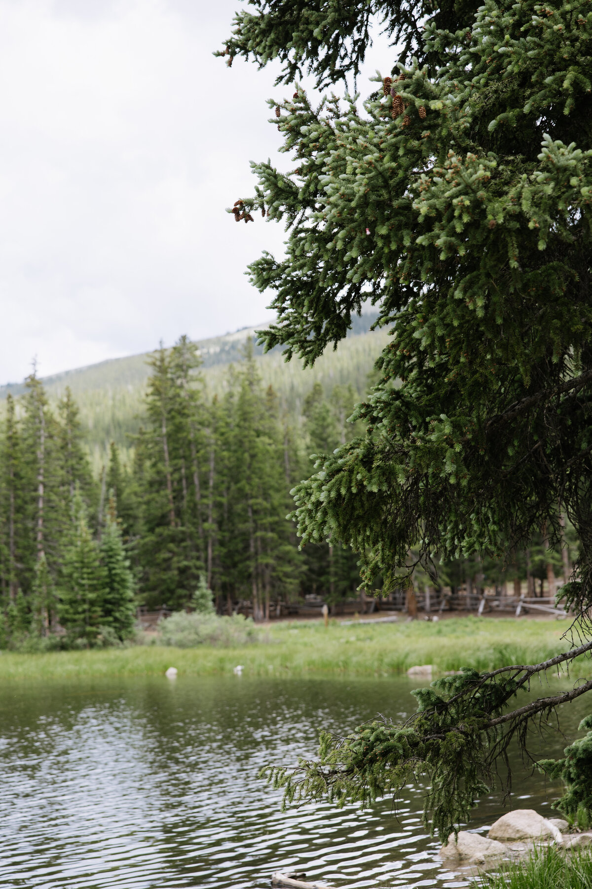 EBP_KGFULLGALLERY-661