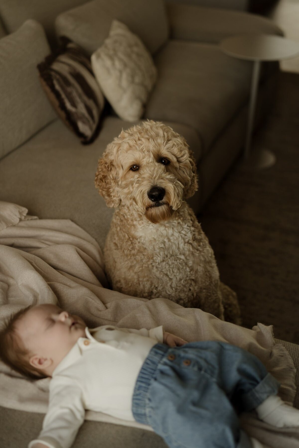 36-BEAUABO-DS302568-min