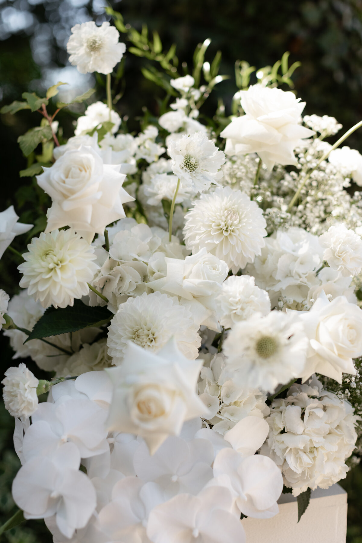 HannahBirdPhoto_Emma&Harrison_Previews_24