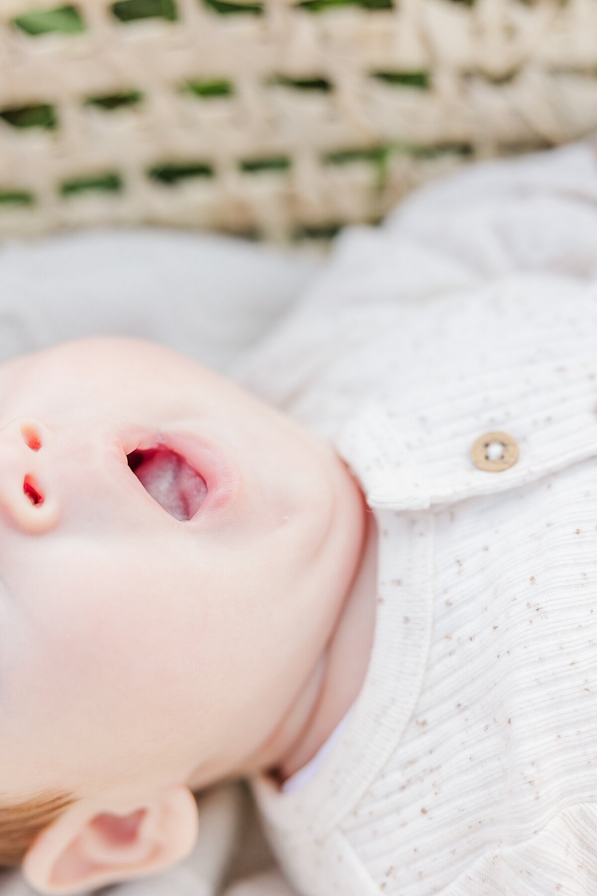 baby yawns during outdoor newborn photo session in Natick Massachusetts with Sara Sniderman Photography