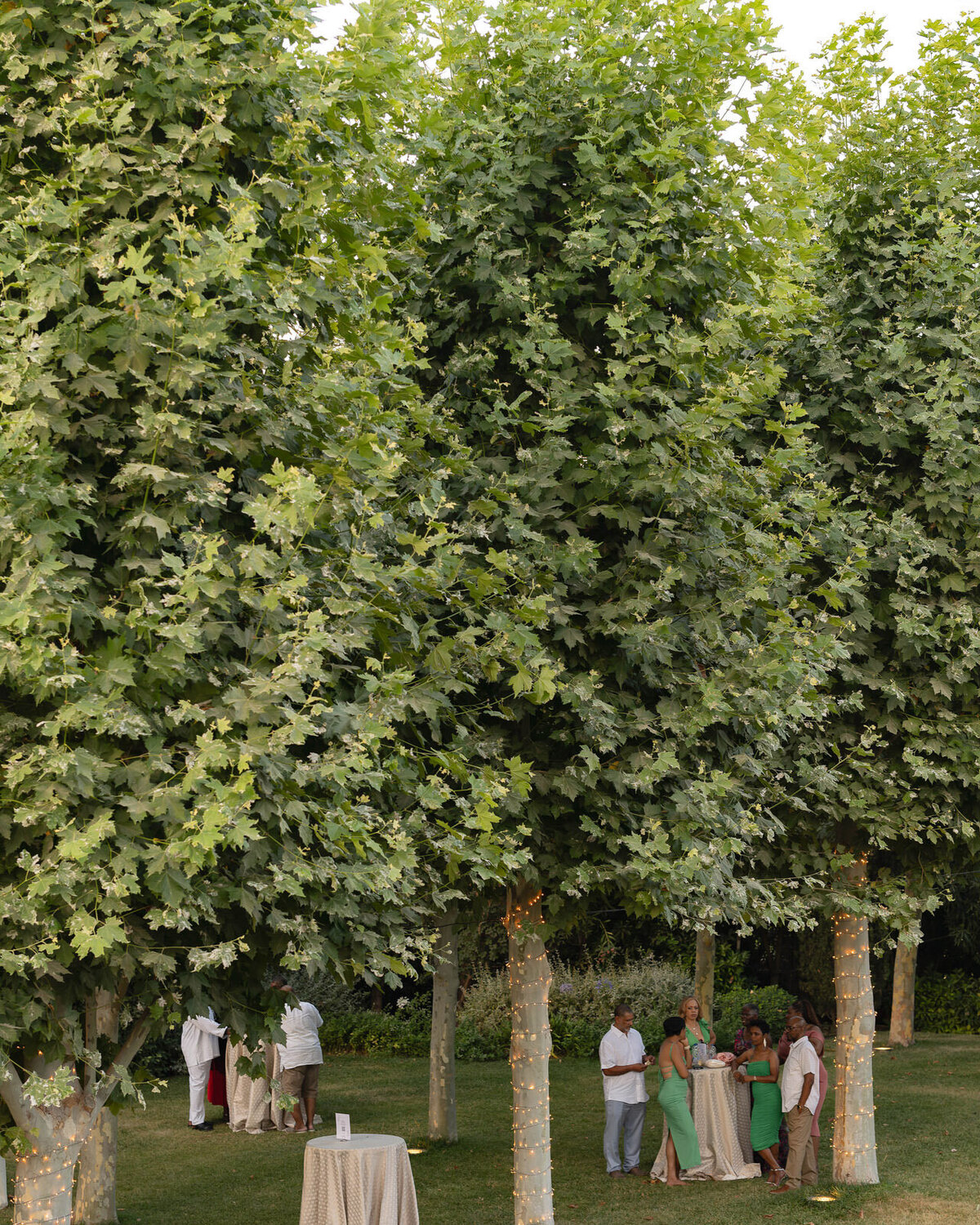 Lewis&amp_Sudan-Wedding,Greece-2508-NEF