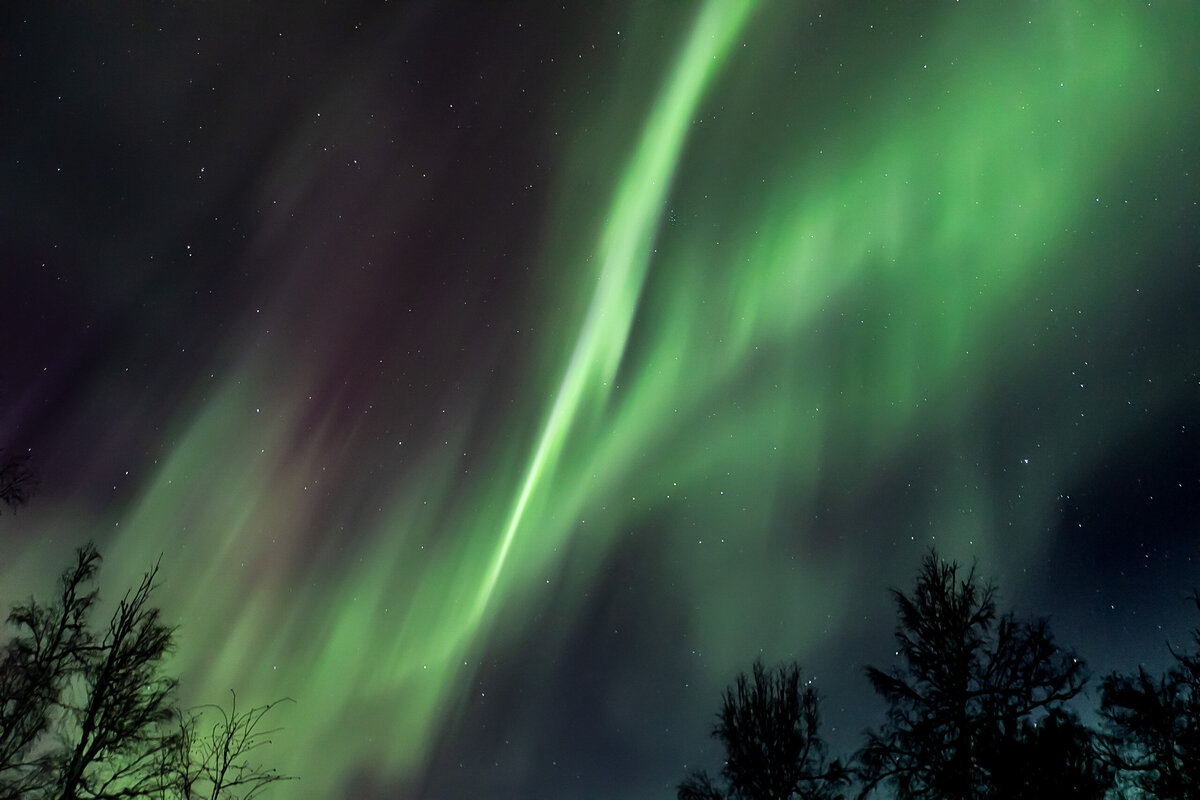 Aimee Danielson Fairbanks Alaska_-453