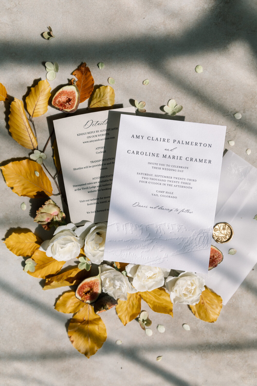 C+A_Camp_Hale_Vail_Colorado_LGBTQ_Wedding_by_Diana_Coulter_Web-1