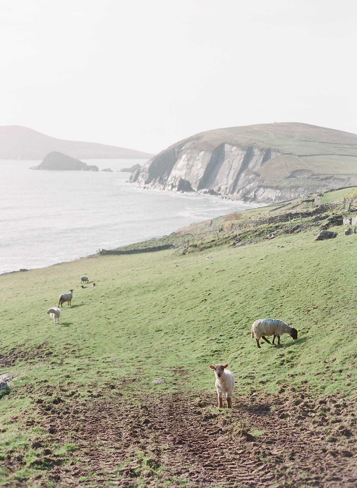 Michelle Norwood Living - Luxury Travel Inspiration - Ireland - Corbin-Gurkin-Ireland-0039