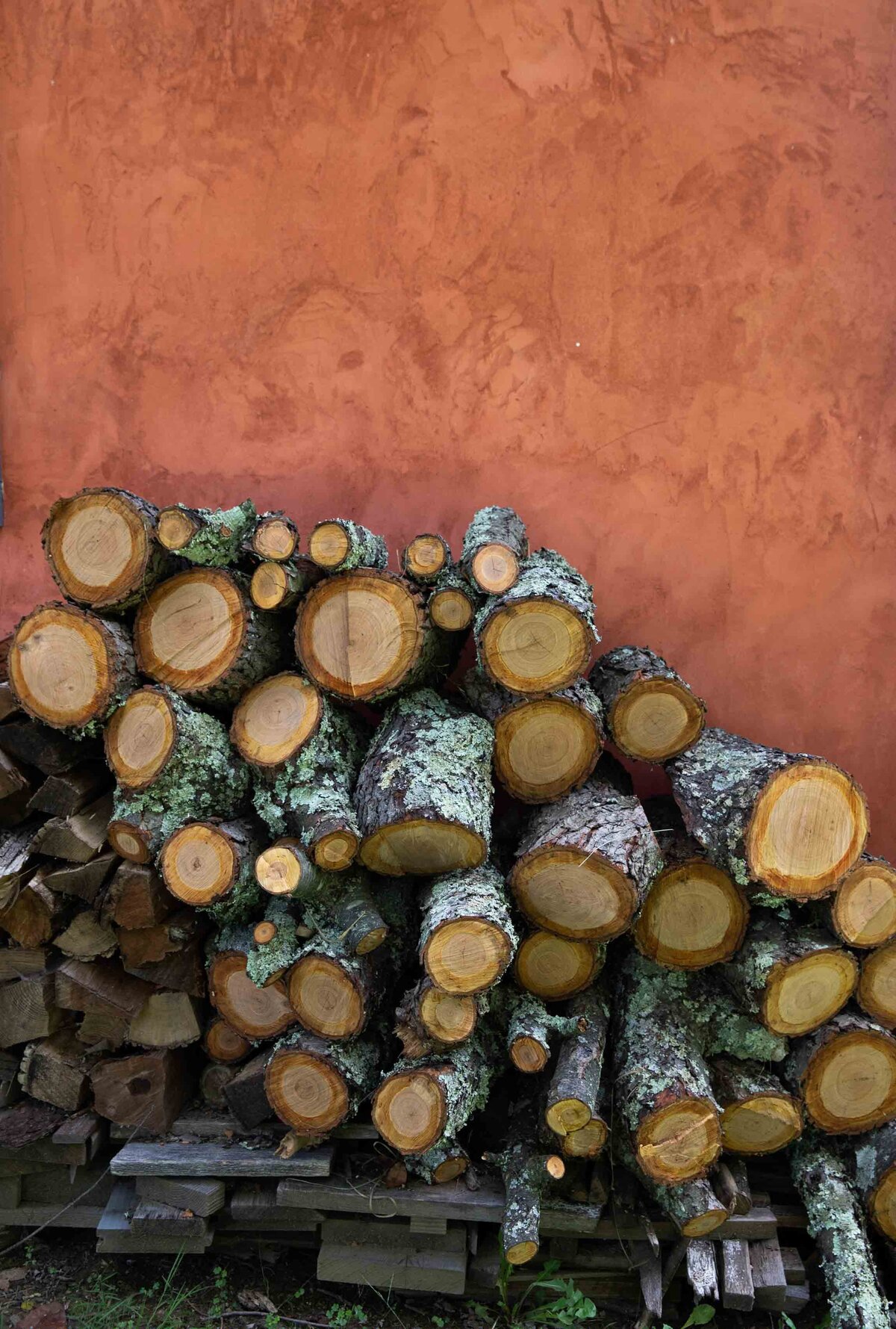 Fire logs stacked at Zigbone Farm Retreat, Maryland