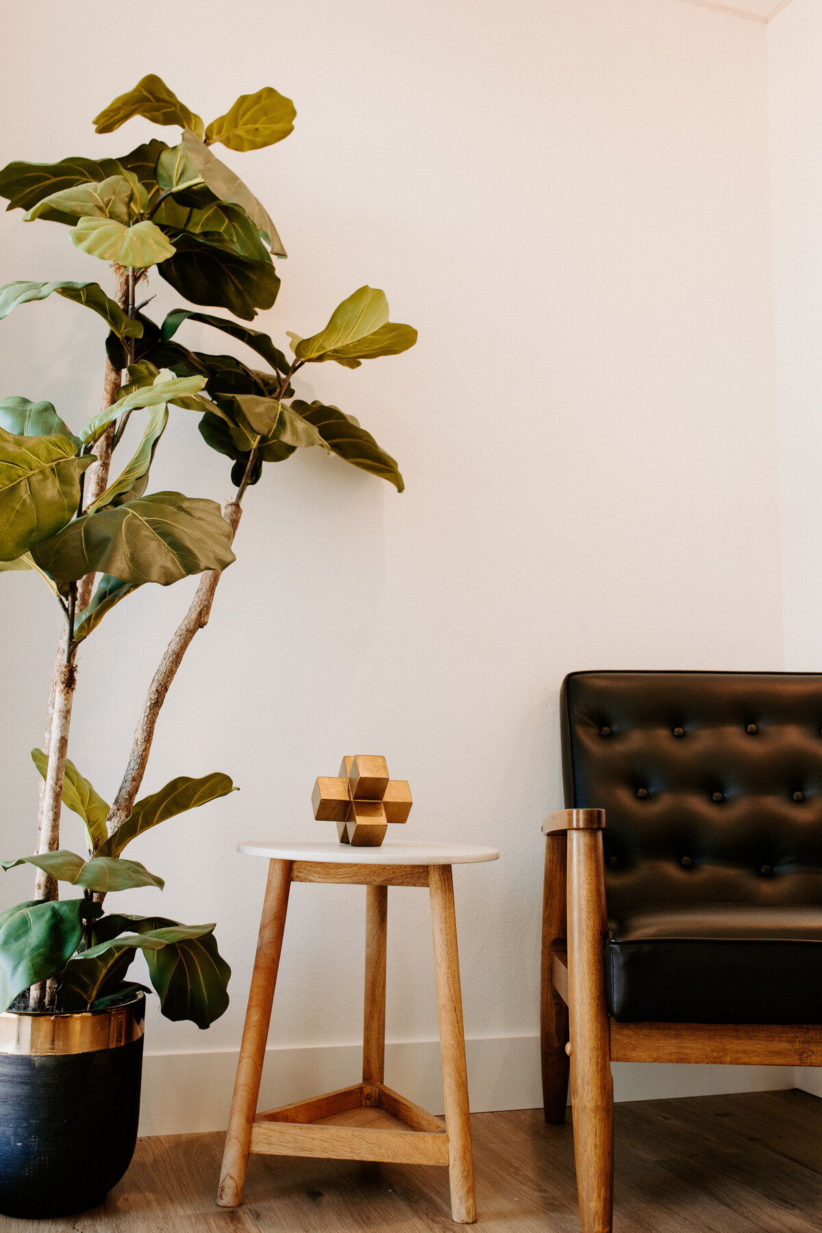 A waiting area with a plant, a small table, and a chair