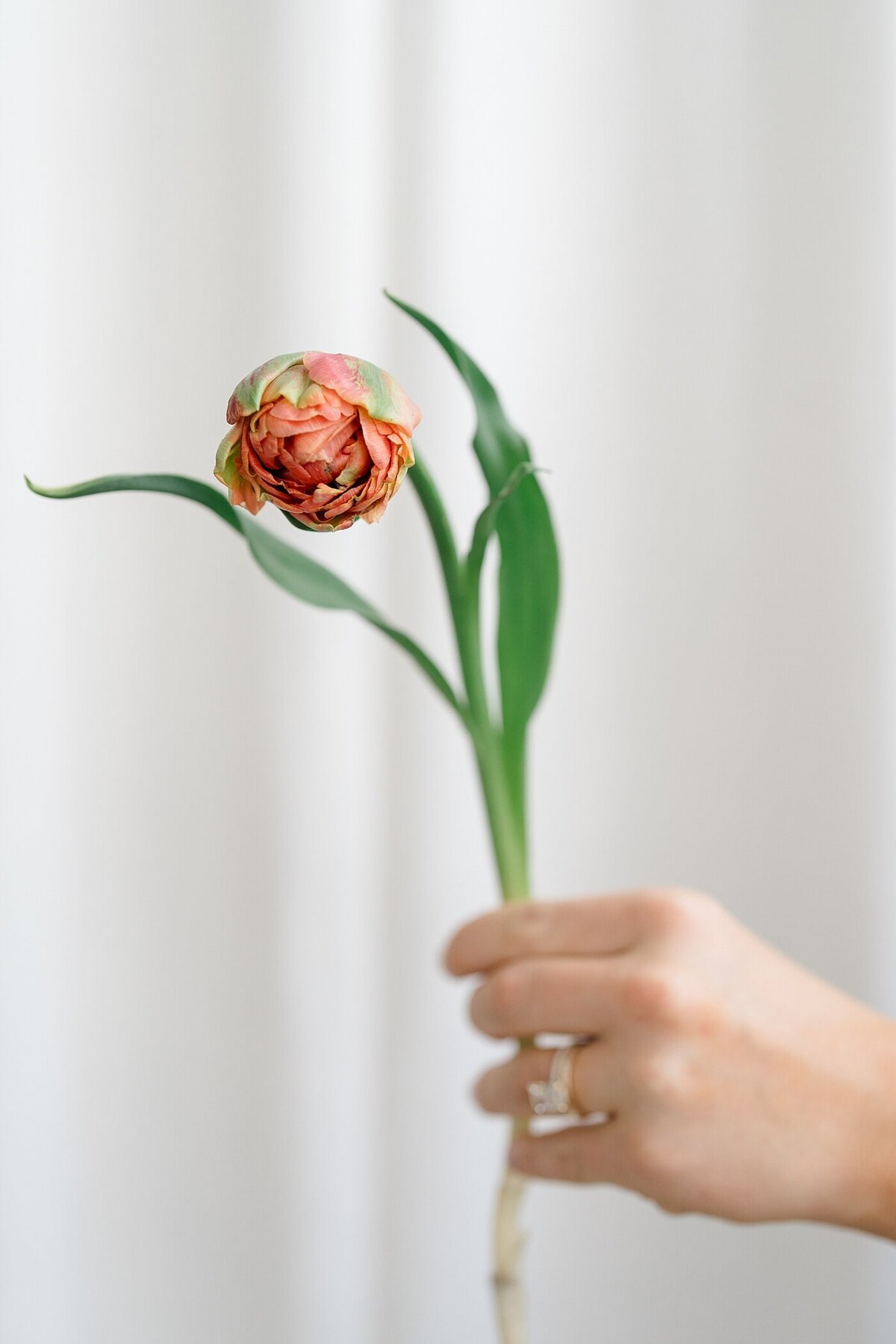 florist branding pictures with woman holding a flower for a detail photo by brand photographer Columbus