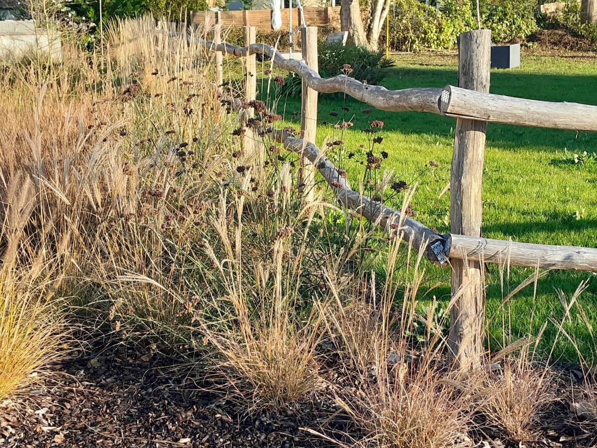 Grasses and flowers for a natural garden