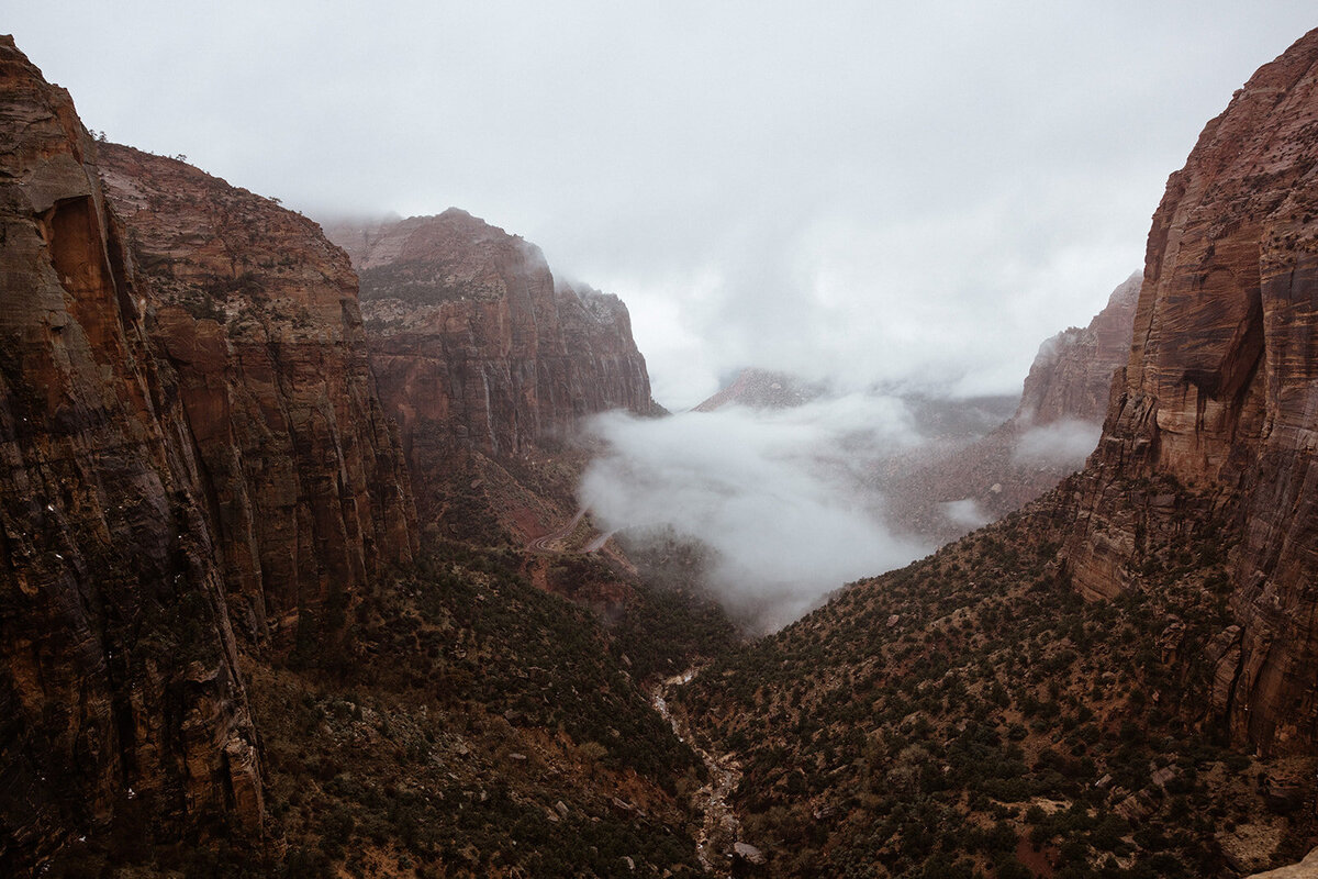 ZionSnowCanyon-dallinhassard-1526