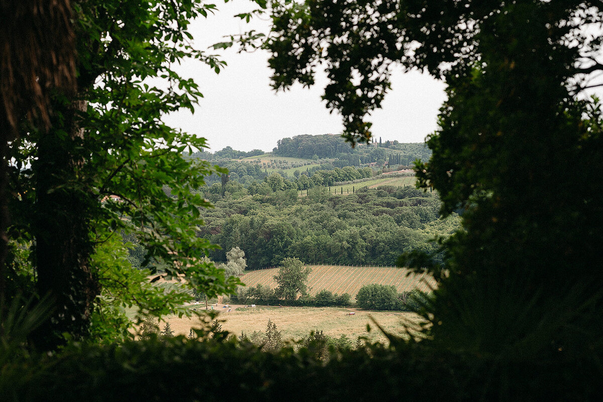 ZSB_7771