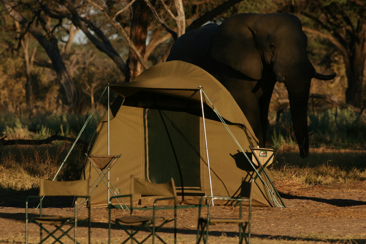 Semi Luxury Dome Tent