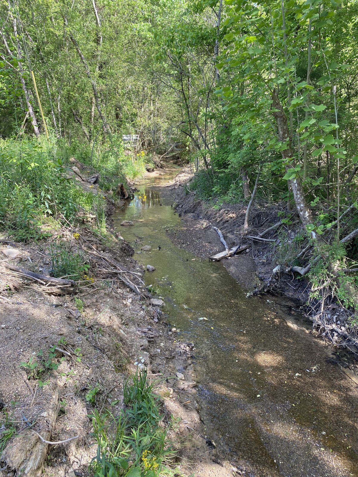 stream-of-water-in-heavily-wooded-area
