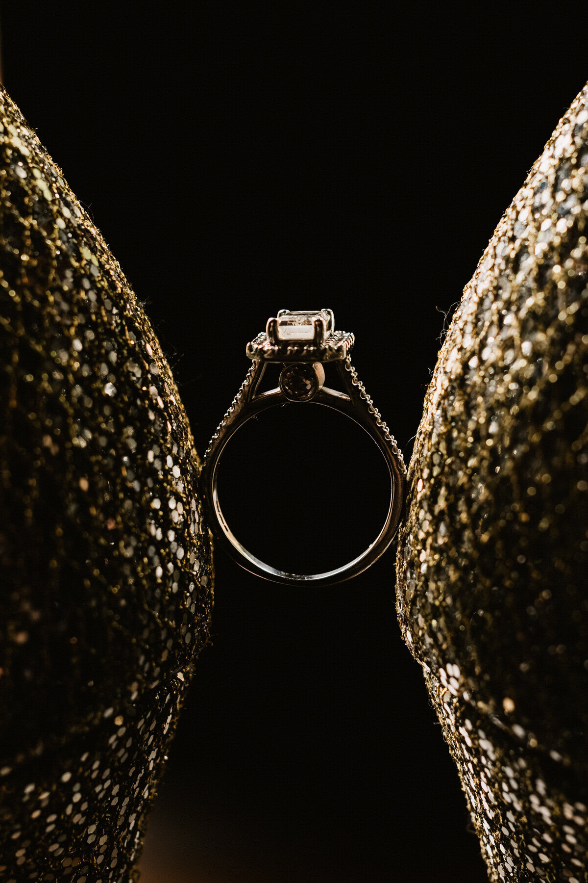 Wedding Photography and Videography in Wyresdale Park_L+J-133-1