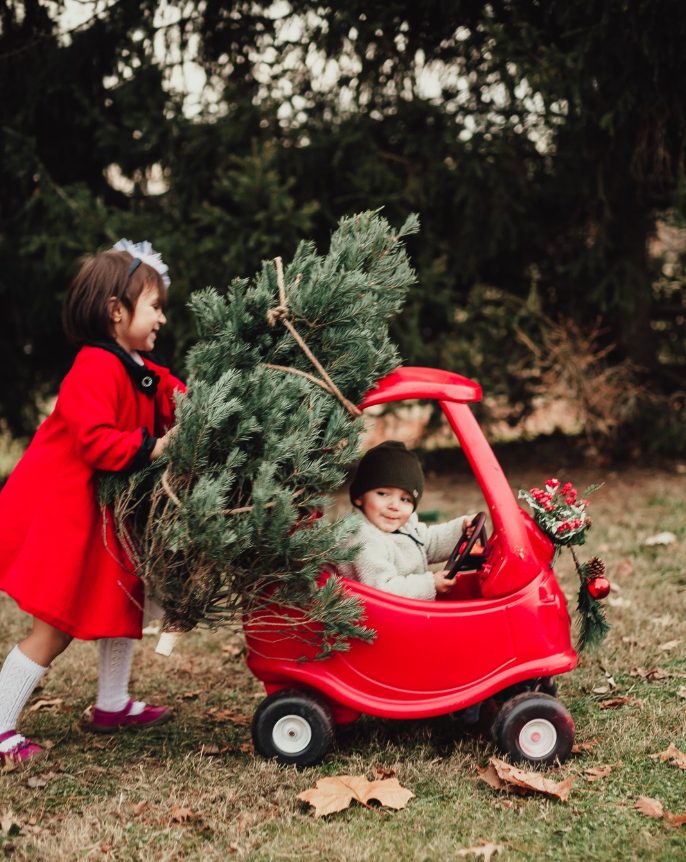 Alessandra-legacy-Photography-Mommy-and-me-Carmel-indianapolis-children's-holiday-christmas-mini-shoot-summer-session-family-4