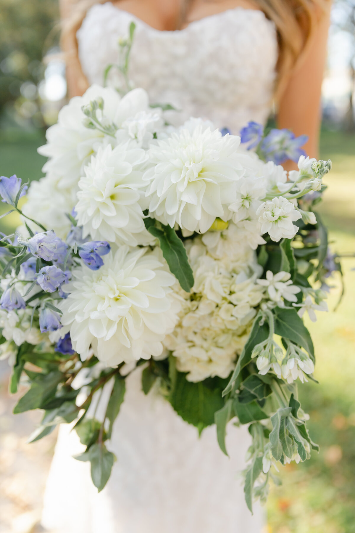 saratoga-springs-wedding-photographer-molli-photo2