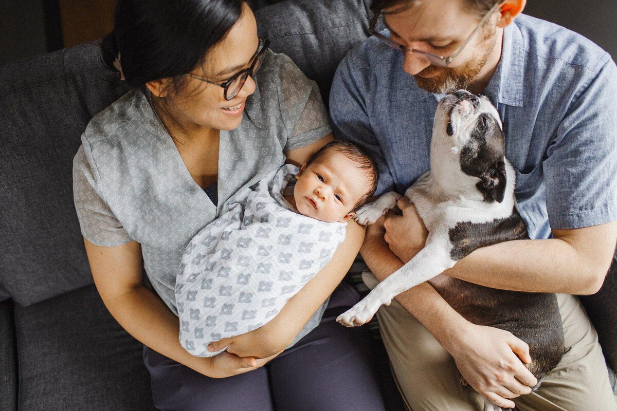 newborn family portrait on couch with dog